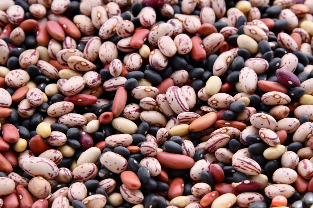 beans are excellent plant-based protein sources as pictured 