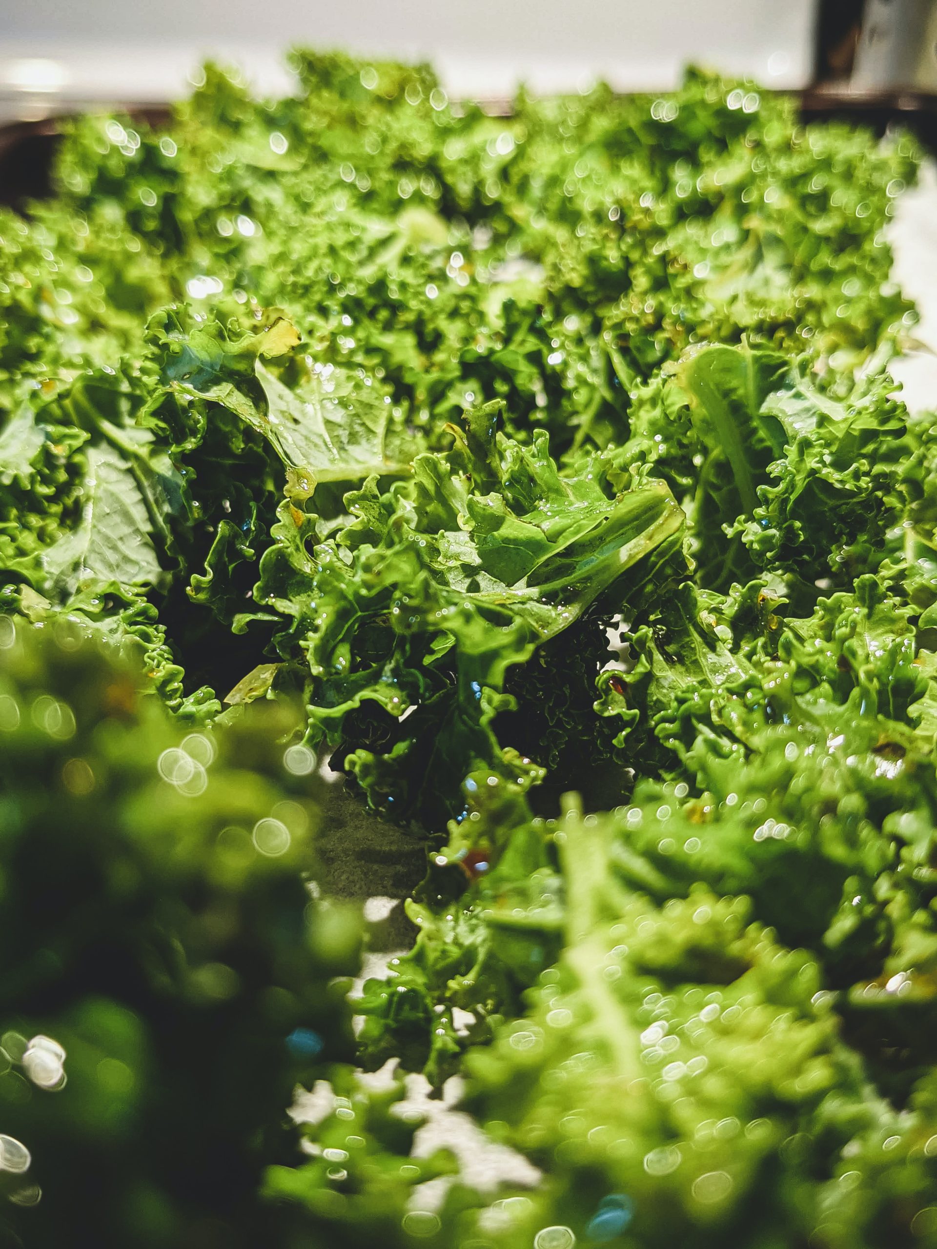 Garlic Parmesan Kale Chips