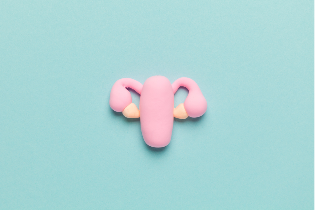 Image of a uterus model made out of clay on a blue background to represent the topic of amenorrhea.