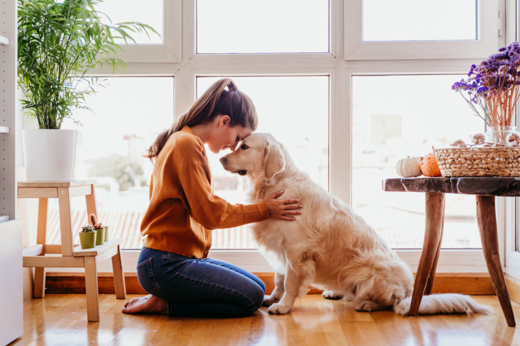 Woman kneeling on the ground facing her golden retriever. The woman is cuddling and hugging her dog as she rests her head on her dog's head. The woman and dog sit infront of large bright windows with a plant to the left of the image and a table to the right.