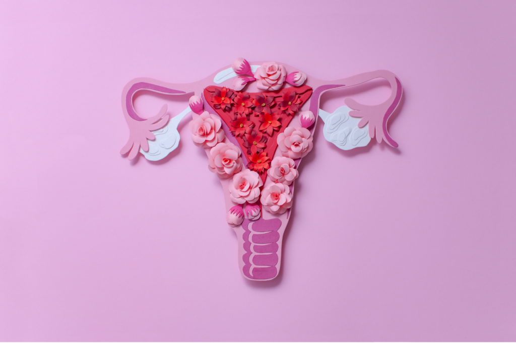 Uterus model made out of pink and red paper and fake pink and red flowers on a pink background to represent periods, menstrual health, and PCOS.
