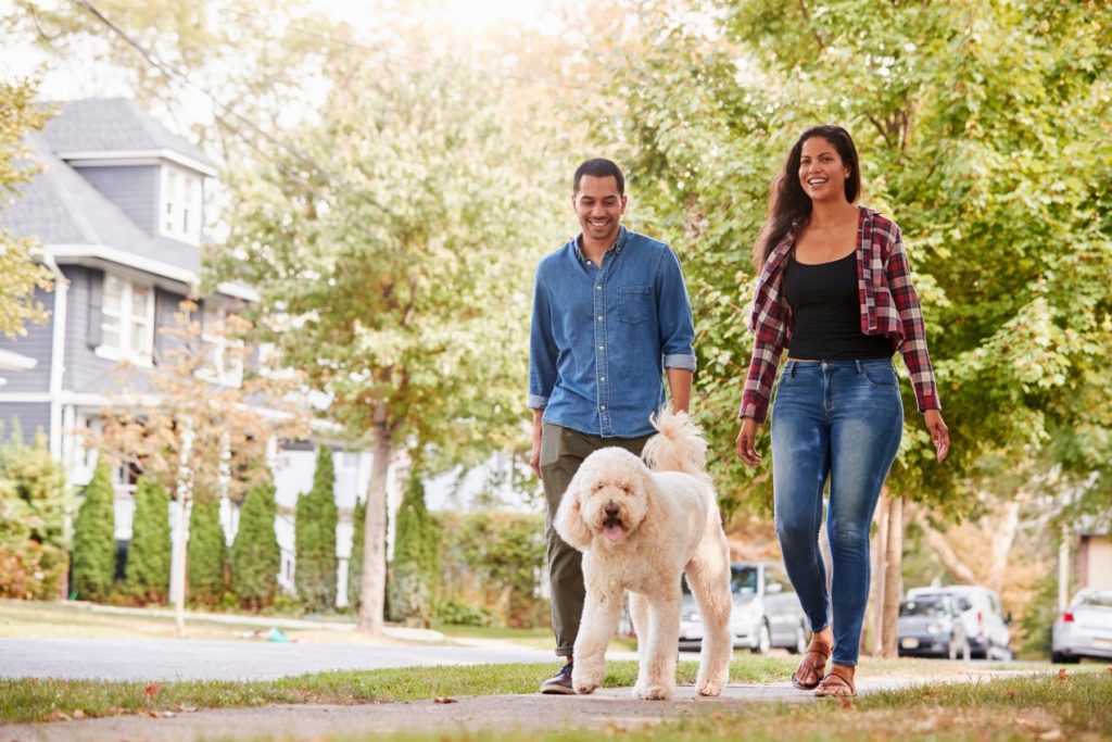 Image of a man and woman walking in a suburban neighbourhood. The couple is walking a medium sized white, fluffy dog. They are smiling. 