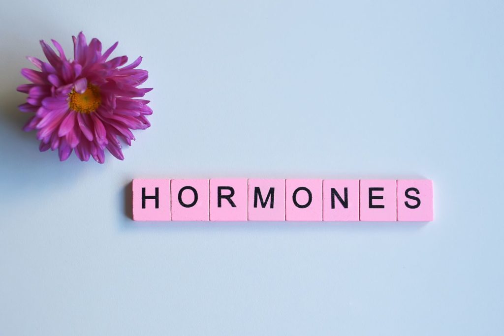 The word hormones is spelled out in black on pink scrabble letter blocks. The letters are in the centre of the photo against a white background with a magenta flower in the upper left corner of the photo.