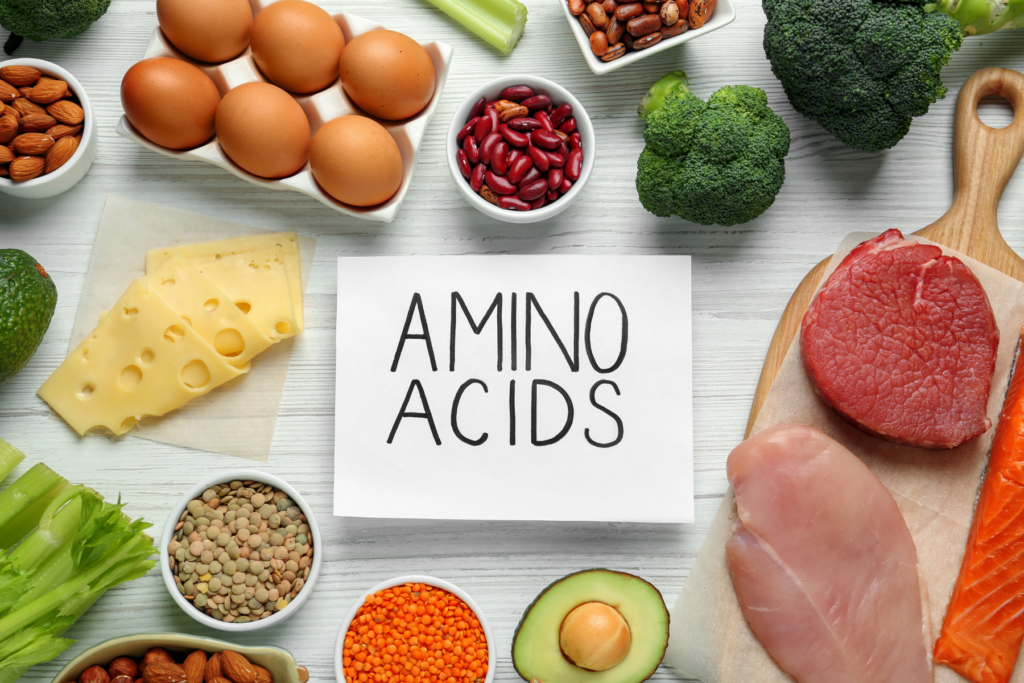 The word amino acids written on a white paper surrounded by high protein foods like legumes, meat, eggs, nuts, cheese